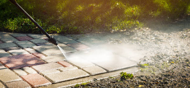 Best Driveway Pressure Washing  in Verona Walk, FL